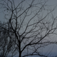 Image for article titled Motion Gallery 2